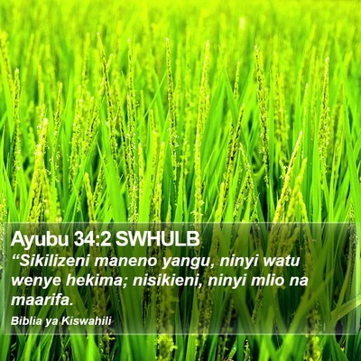Ayubu 34:2 SWHULB Bible Verse Image