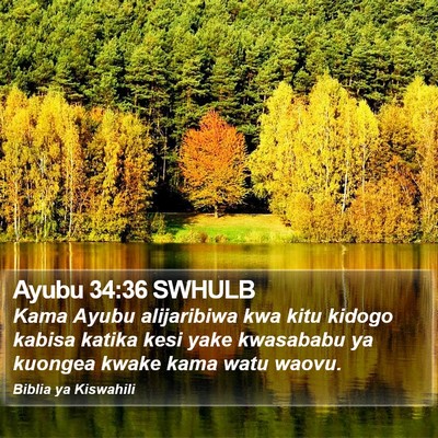 Ayubu 34:36 SWHULB Bible Verse Image