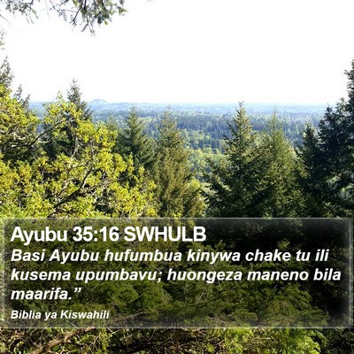 Ayubu 35:16 SWHULB Bible Verse Image