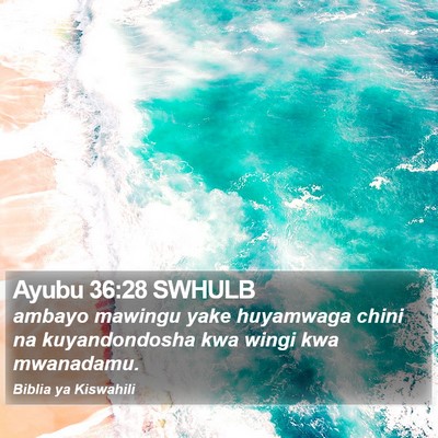 Ayubu 36:28 SWHULB Bible Verse Image