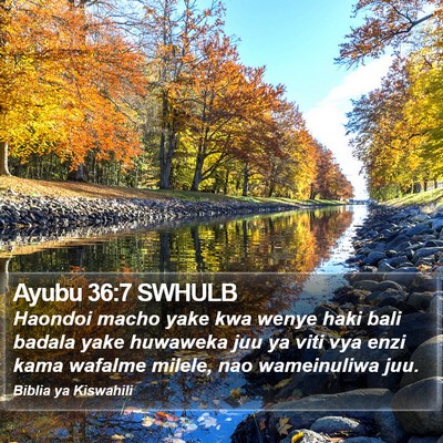Ayubu 36:7 SWHULB Bible Verse Image