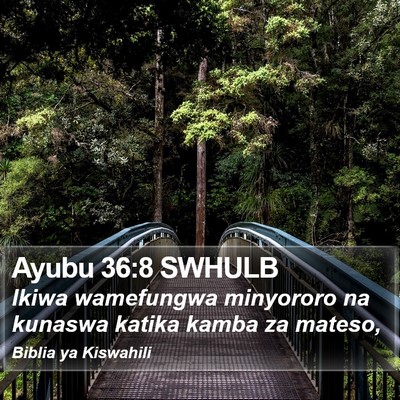 Ayubu 36:8 SWHULB Bible Verse Image