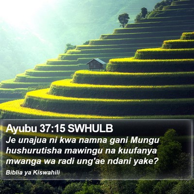 Ayubu 37:15 SWHULB Bible Verse Image