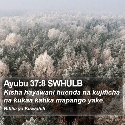 Ayubu 37:8 SWHULB Bible Verse Image