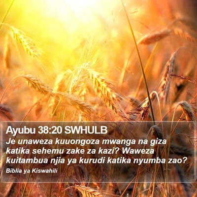 Ayubu 38:20 SWHULB Bible Verse Image