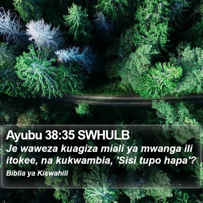 Ayubu 38:35 SWHULB Bible Verse Image