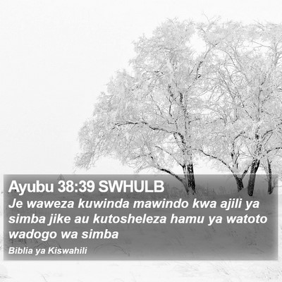 Ayubu 38:39 SWHULB Bible Verse Image