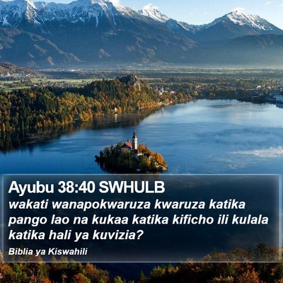 Ayubu 38:40 SWHULB Bible Verse Image