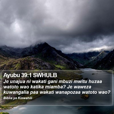 Ayubu 39:1 SWHULB Bible Verse Image
