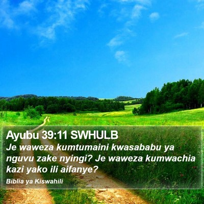 Ayubu 39:11 SWHULB Bible Verse Image