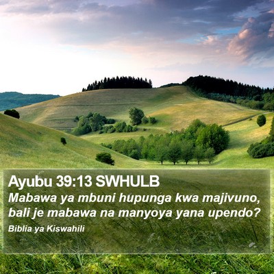 Ayubu 39:13 SWHULB Bible Verse Image