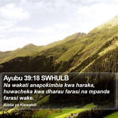 Ayubu 39:18 SWHULB Bible Verse Image