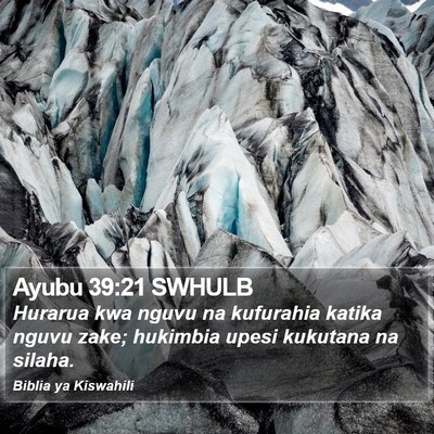Ayubu 39:21 SWHULB Bible Verse Image