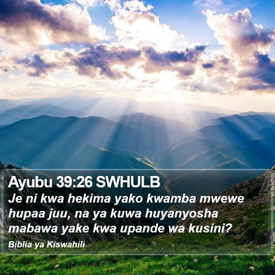 Ayubu 39:26 SWHULB Bible Verse Image