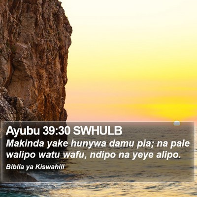 Ayubu 39:30 SWHULB Bible Verse Image