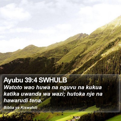 Ayubu 39:4 SWHULB Bible Verse Image