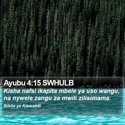 Ayubu 4:15 SWHULB Bible Verse Image