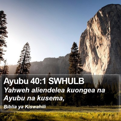 Ayubu 40:1 SWHULB Bible Verse Image