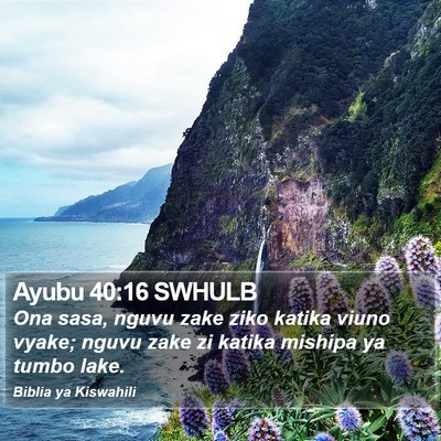 Ayubu 40:16 SWHULB Bible Verse Image