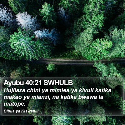 Ayubu 40:21 SWHULB Bible Verse Image