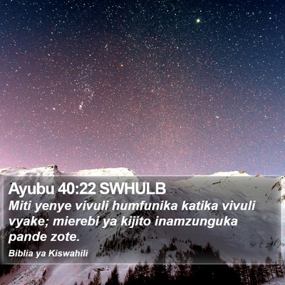 Ayubu 40:22 SWHULB Bible Verse Image