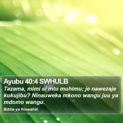 Ayubu 40:4 SWHULB Bible Verse Image