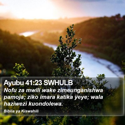 Ayubu 41:23 SWHULB Bible Verse Image