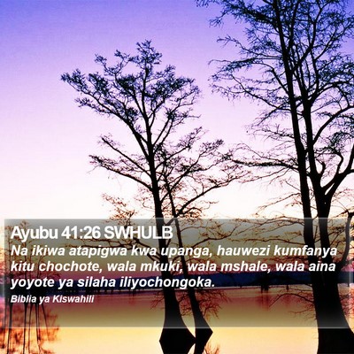 Ayubu 41:26 SWHULB Bible Verse Image