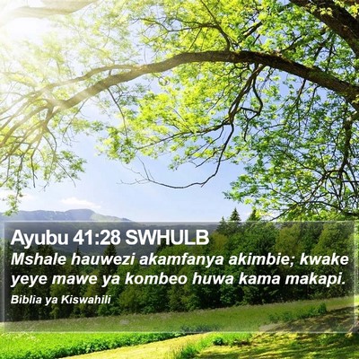 Ayubu 41:28 SWHULB Bible Verse Image