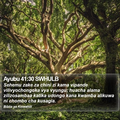 Ayubu 41:30 SWHULB Bible Verse Image