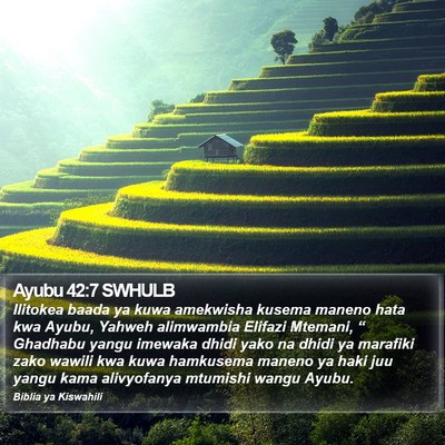 Ayubu 42:7 SWHULB Bible Verse Image