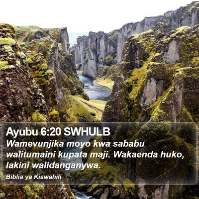 Ayubu 6:20 SWHULB Bible Verse Image