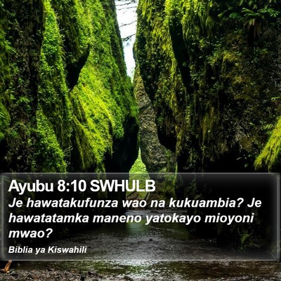 Ayubu 8:10 SWHULB Bible Verse Image