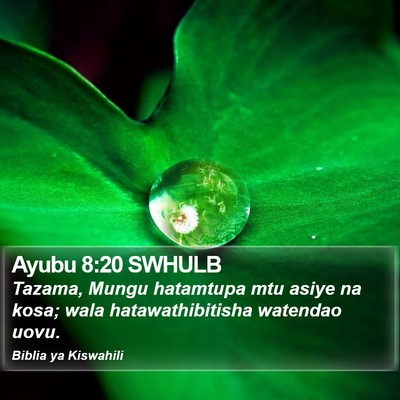 Ayubu 8:20 SWHULB Bible Verse Image