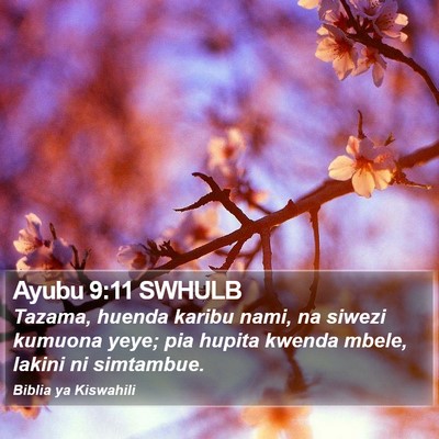 Ayubu 9:11 SWHULB Bible Verse Image