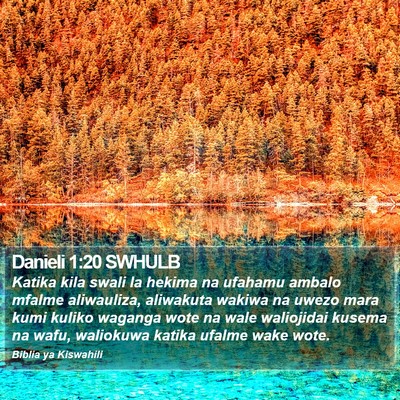 Danieli 1:20 SWHULB Bible Verse Image