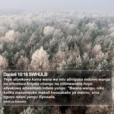 Danieli 10:16 SWHULB Bible Verse Image
