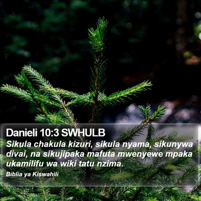 Danieli 10:3 SWHULB Bible Verse Image