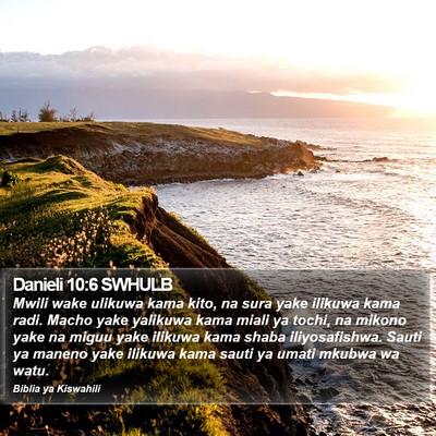 Danieli 10:6 SWHULB Bible Verse Image
