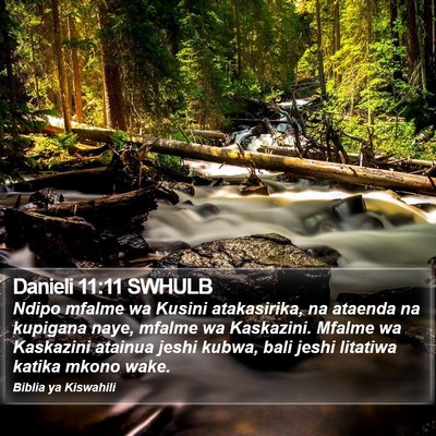 Danieli 11:11 SWHULB Bible Verse Image