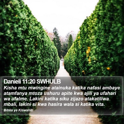 Danieli 11:20 SWHULB Bible Verse Image