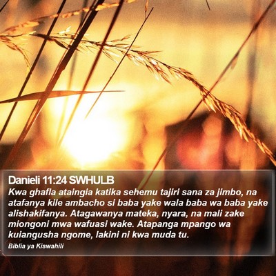 Danieli 11:24 SWHULB Bible Verse Image