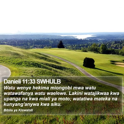 Danieli 11:33 SWHULB Bible Verse Image
