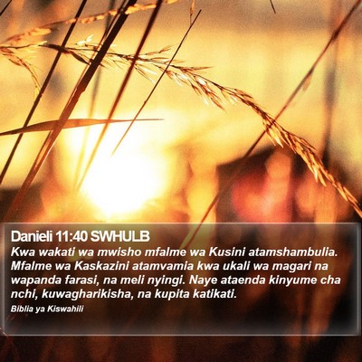 Danieli 11:40 SWHULB Bible Verse Image