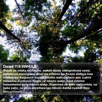 Danieli 11:6 SWHULB Bible Verse Image