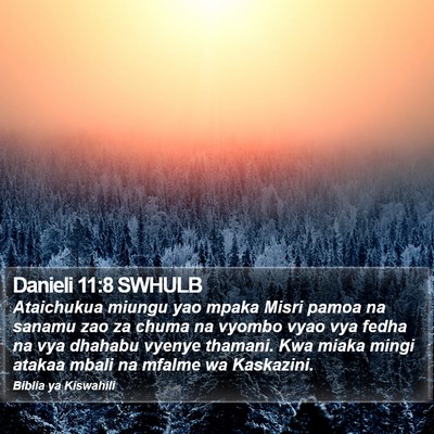 Danieli 11:8 SWHULB Bible Verse Image
