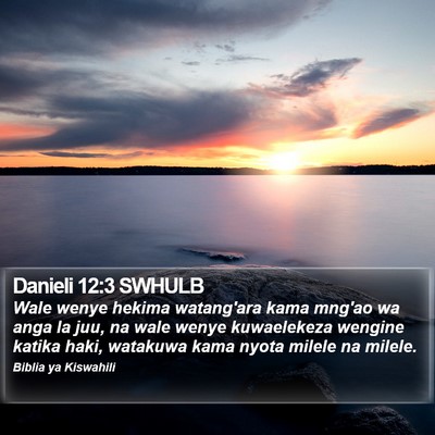 Danieli 12:3 SWHULB Bible Verse Image