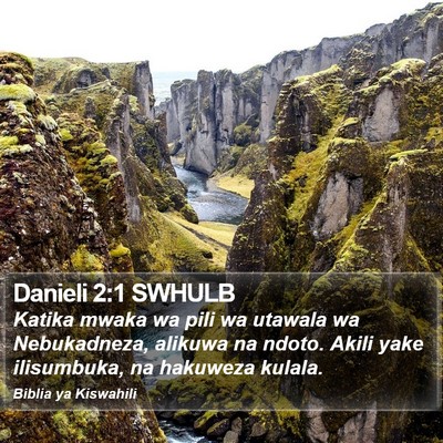 Danieli 2:1 SWHULB Bible Verse Image