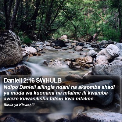 Danieli 2:16 SWHULB Bible Verse Image
