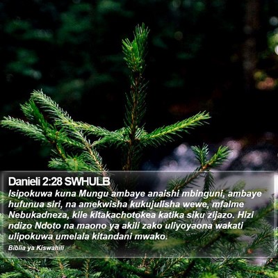 Danieli 2:28 SWHULB Bible Verse Image